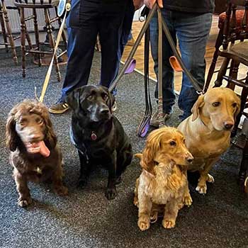 photograph of some dogs in the Blacksmith Arms